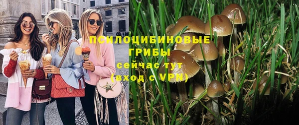 дурь Новодвинск