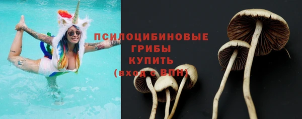 молекула духа Новозыбков