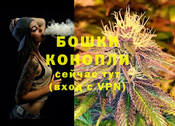 дурь Новодвинск