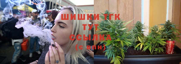 дурь Новодвинск